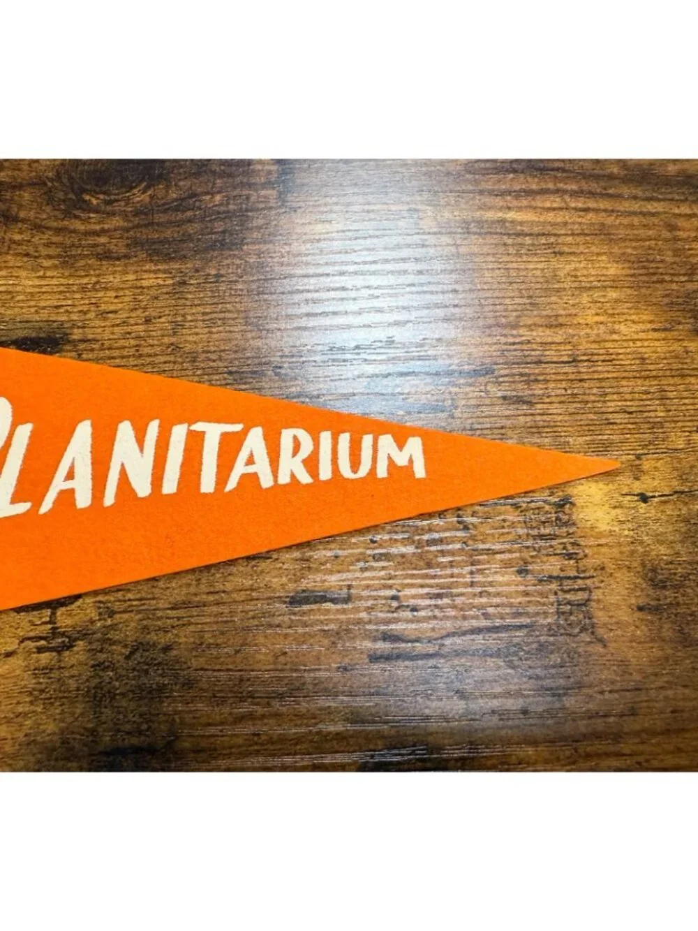 Vintage Planitarium pennant
